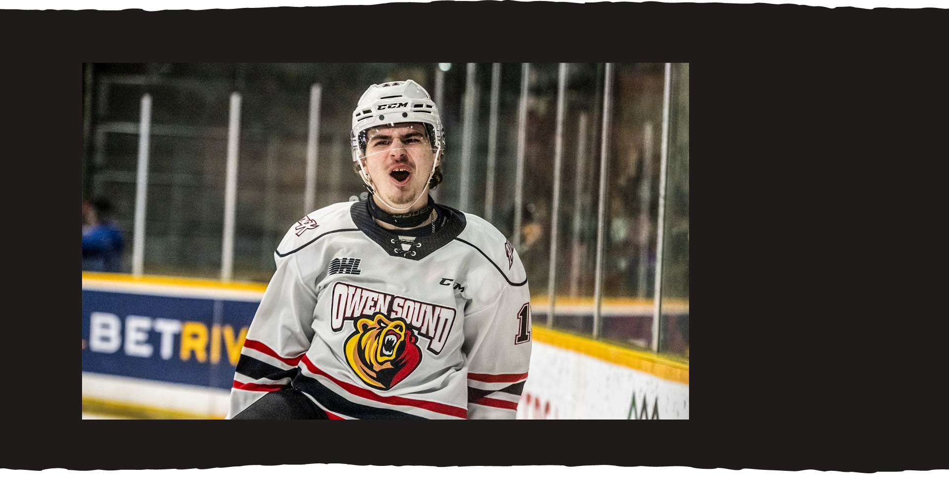 Image for OHL Owen Sound Attack