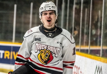Owen Sound Attack