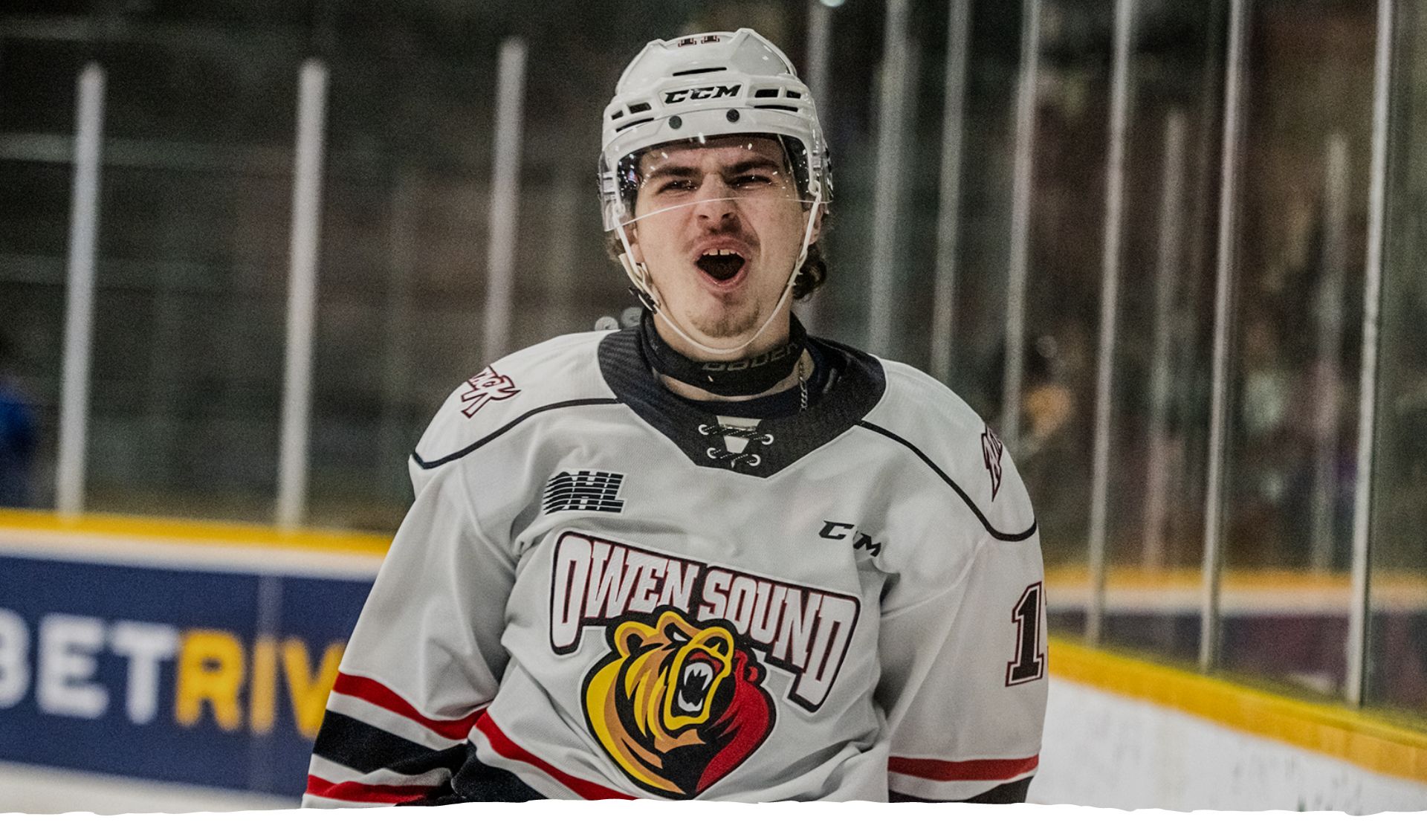 Owen Sound Attack banner image