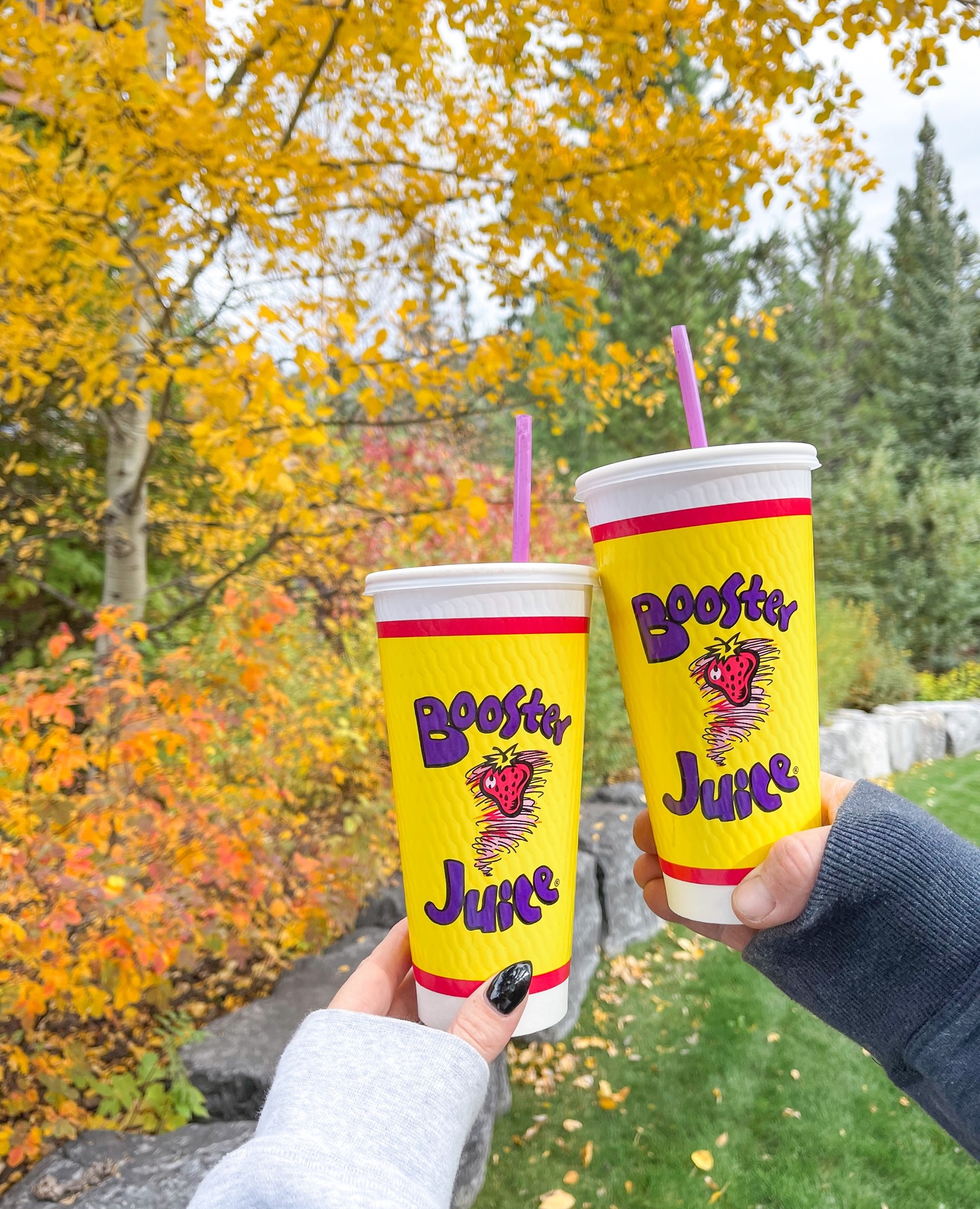 Image for Booster Juice