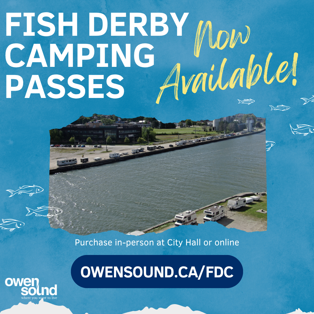 Fish Derby Camping on inner harbour walls