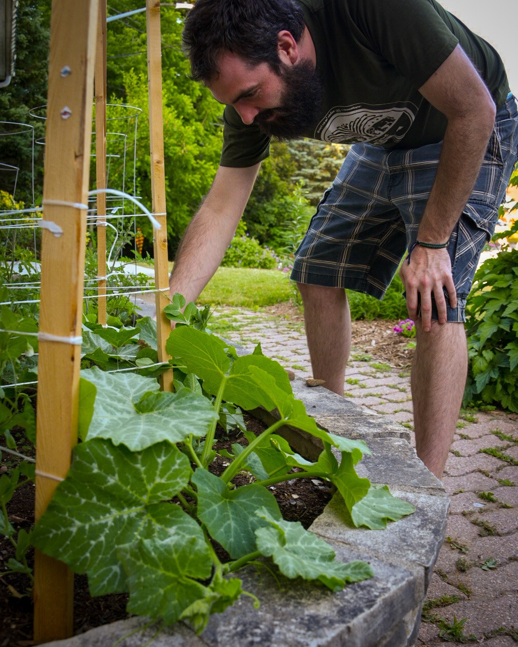 gardener
