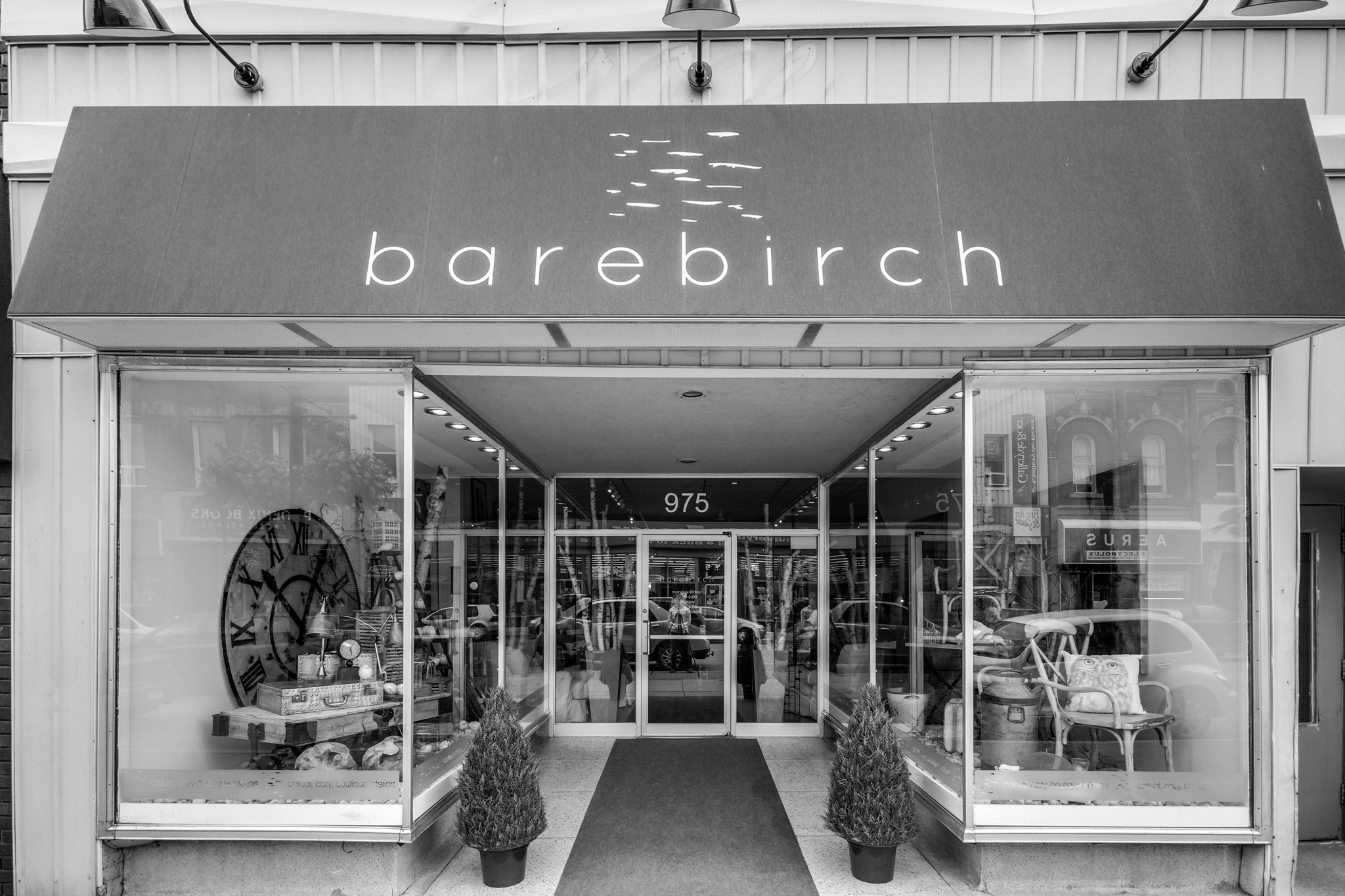 barebirch store