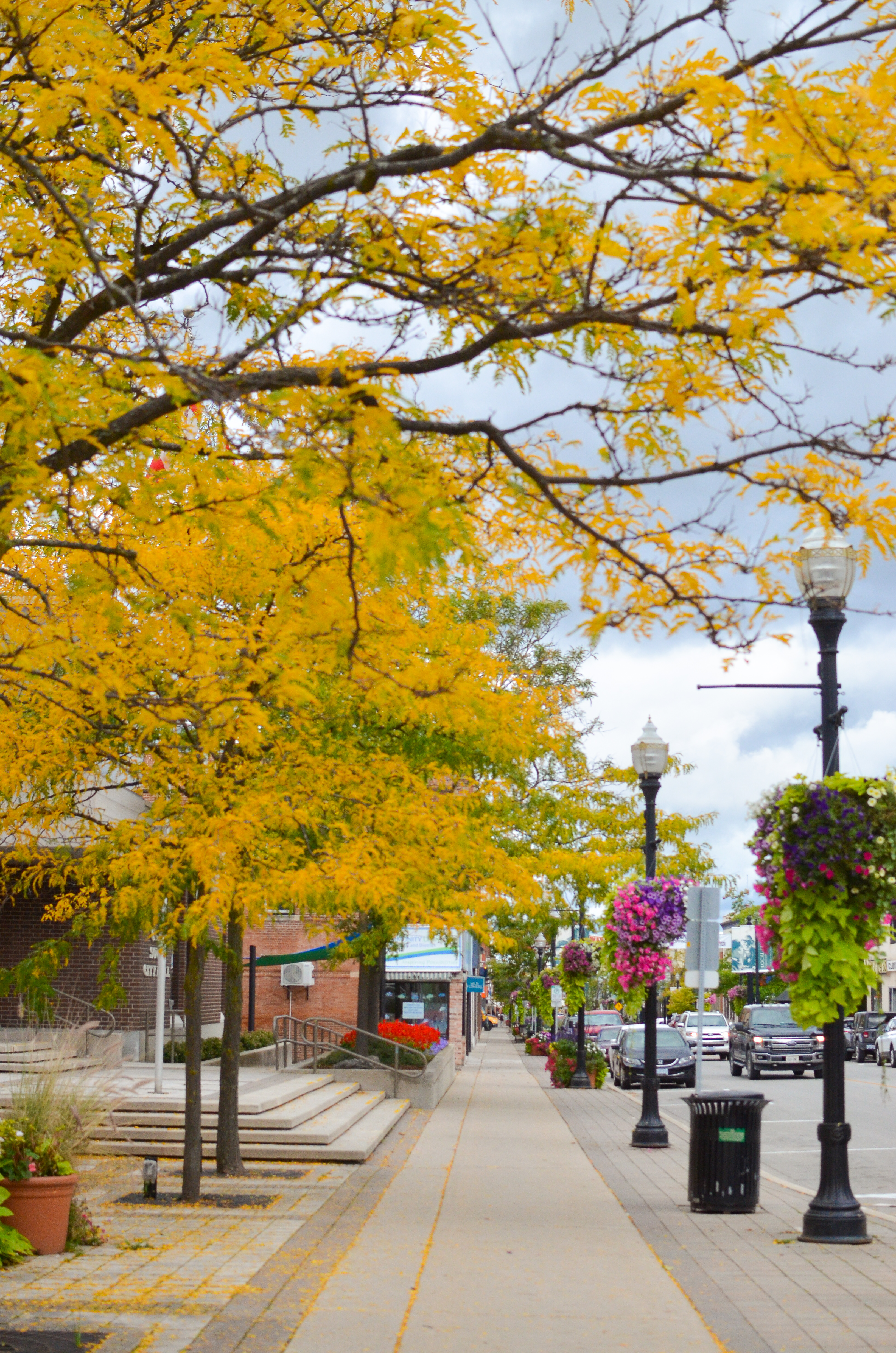 <div class="text-large">River District through the trees in fall</div>