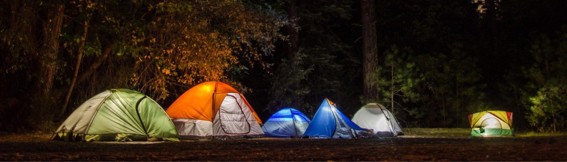 Harrison Park Camp banner image