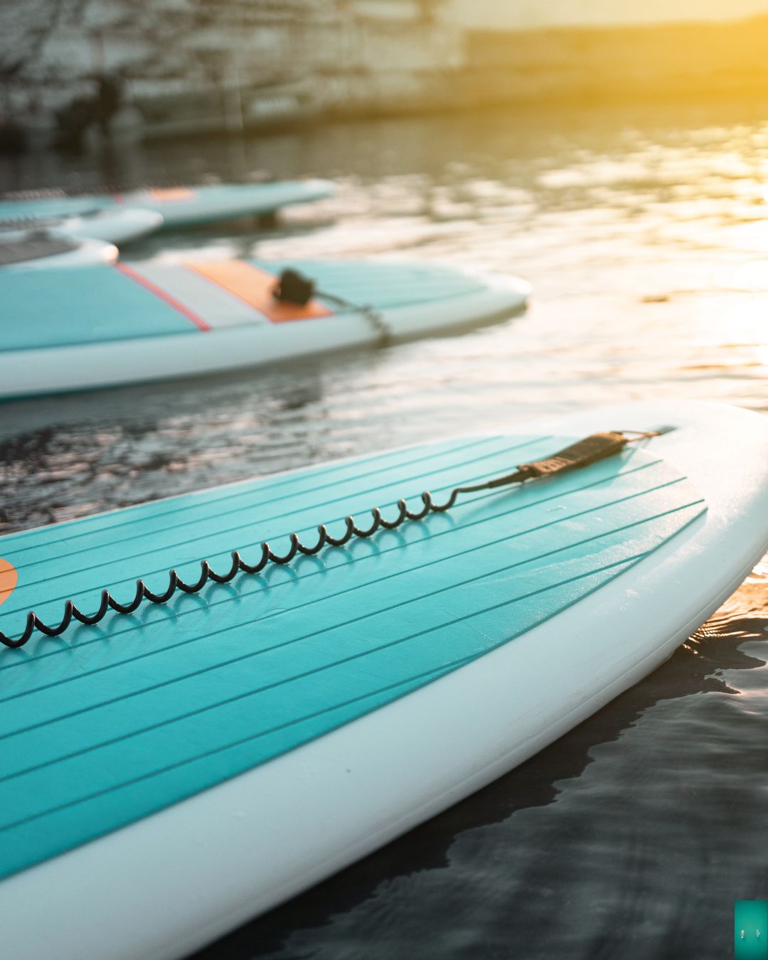 SUP pic in water